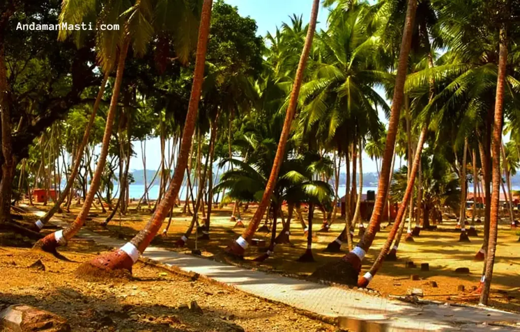 Neil island and havelock island accommodation comparison 