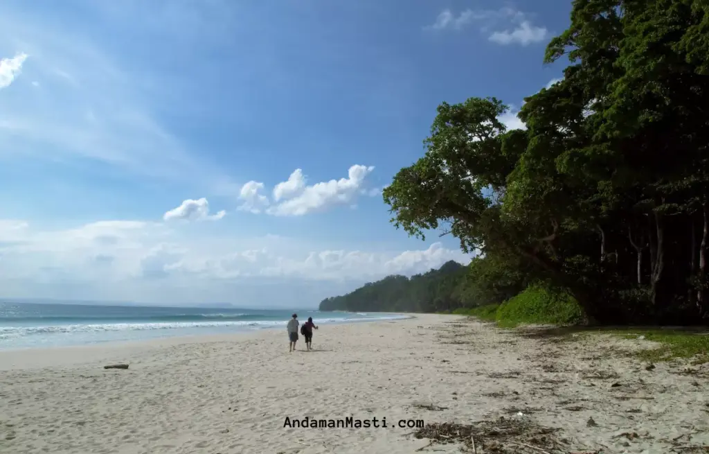 Adventure and Water Activities With Timing and Price